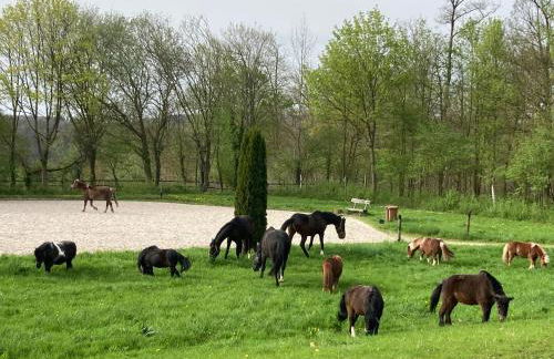 Ferienwohnung auf Pferdehof - Foto 3