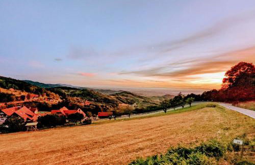 Black Forest Stay - Apartment Hirschperle - Foto 34