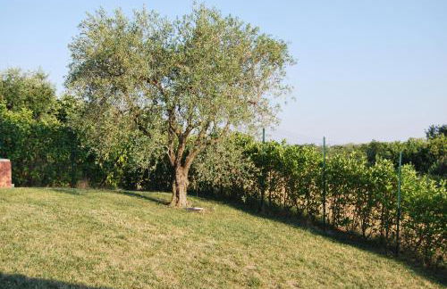 Villa Marilena - Photo 10