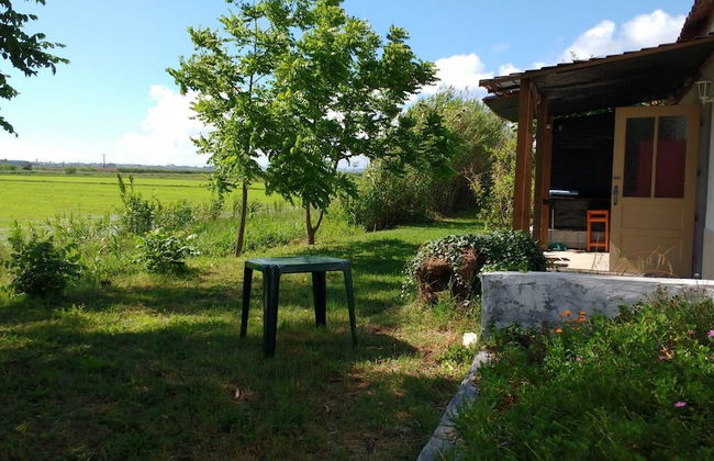 Termas da Azenha - Photo 53