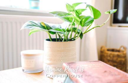 Designer apartments for City Breaks in Chester - Photo 36