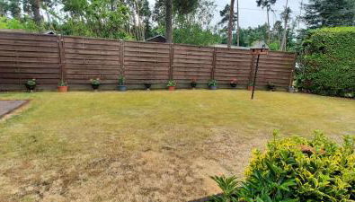 Haus Dannigkow - Foto 3