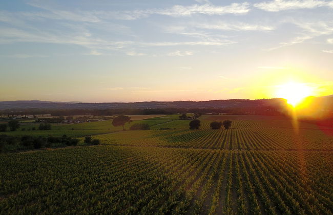 Agriturismo Poggio alle Vigne - Foto 19