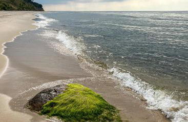 Biały domek - Photo 15