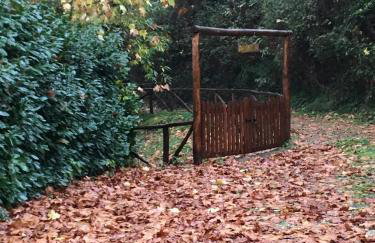 Relax totale nel Bosco Lucca - Foto 57