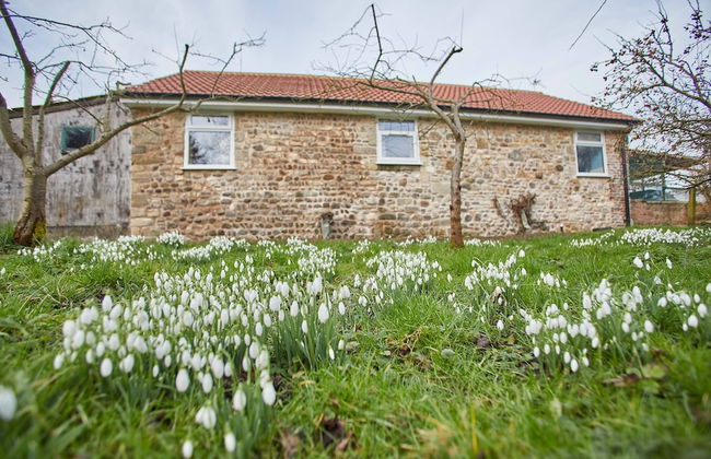 Snowdrop Cottage - Photo 24