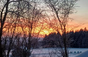 Bayerwaldtiny - Foto 8