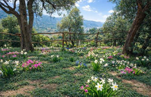 Deluxe Nature Resort Galovi Dvori - Foto 8