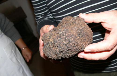 Agriturismo La Filomena - Foto 28