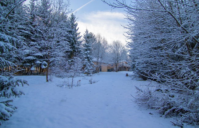 Forestside Escape Near Lake - Photo 28