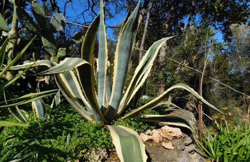 Anna's country villa - Foto 57