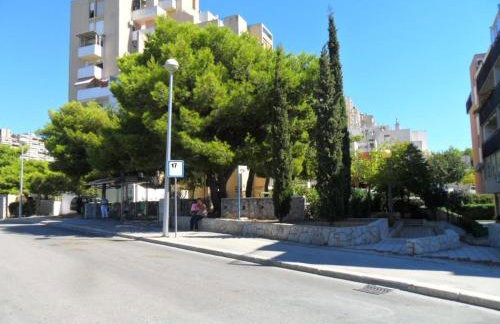 Apartments Batovanja - Foto 11