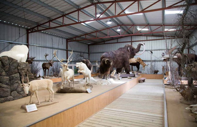 Emerald Lake + Carcross Desert Excursion - Foto 2