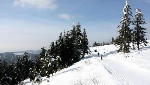 Haus Margot Armbruster - Foto 3