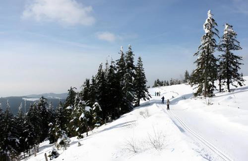 Haus Margot Armbruster - Photo 3