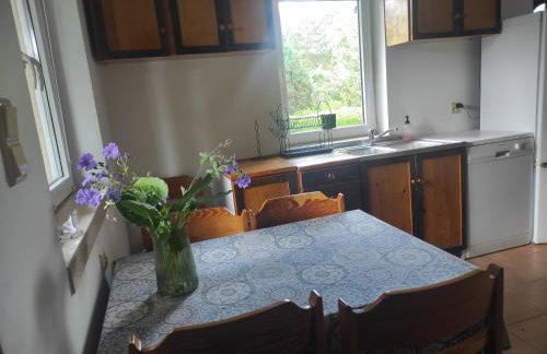 Biały Dzik Uszyszek - Foto 3