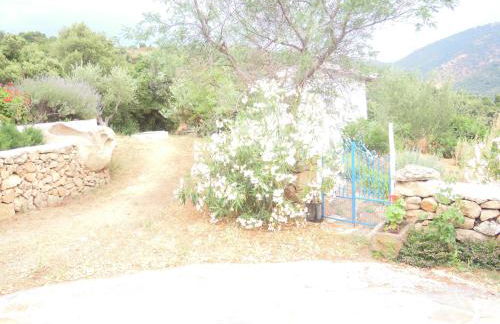 Agriturismo Camisadu - Foto 66