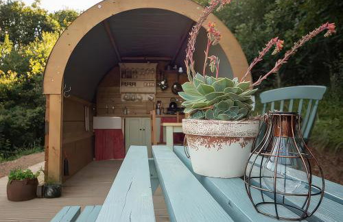 Goldfinch - Photo 17