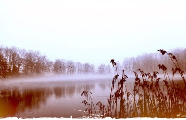 Wohnung in Neuburg Nahe Ostseestrand - Foto 30