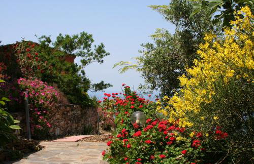 Ikarian Centre - Accommodation & mountain hiking - Photo 25