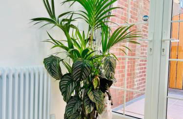 Hayaat Cottage, Cosy New Studio, great London link - Foto 18