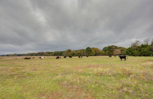 Lakefront Frankston Cabin with Dock and Fire Pit! - Foto 32