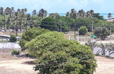 Apartamento mobiliado, dois dormitórios, praia Ponta de Campina - Foto 16