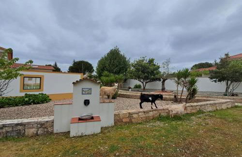 Sol Lua Apt - Foto 23