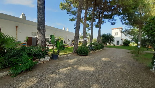 Entrada (vista interior)