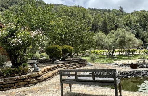 Chic Woodland Yurt Rental on a Wellness Ranch in Southern California - Foto 12