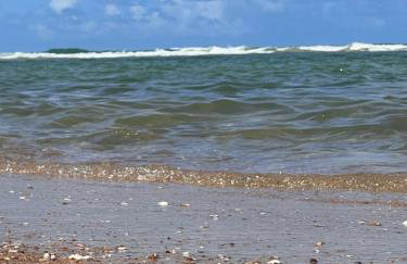 Casa Barra Nova - Photo 30