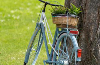Ferienwohnung Storchennest Spreewald - Photo 11