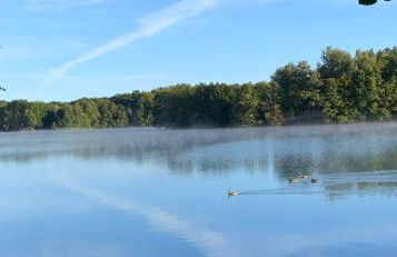 Ruhiges Ferienhaus Wandlitz - Foto 24