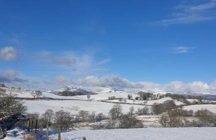 Snowdonia Glamping Holidays, Betws-y-Coed - Foto 37