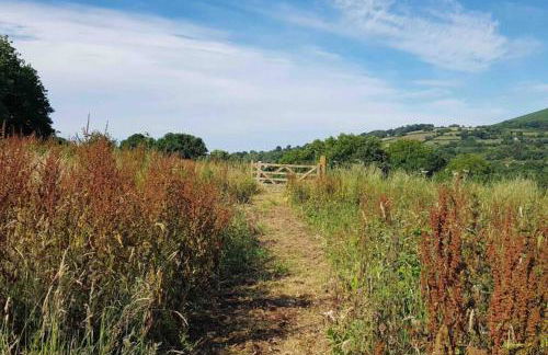 FoxesDen, Unique Eco Cabin, Dartmoor views - Foto 53