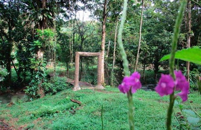 Vanilla Jungle Lodge - Bed & Breakfast - Foto 22