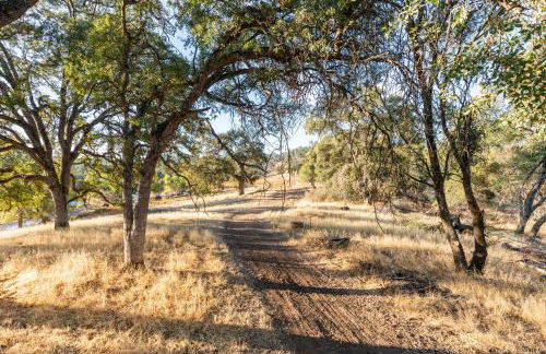 Rolling Oaks Ranch - 200 Acres of Lakeside Beauty & Countryside Serenity - Foto 34