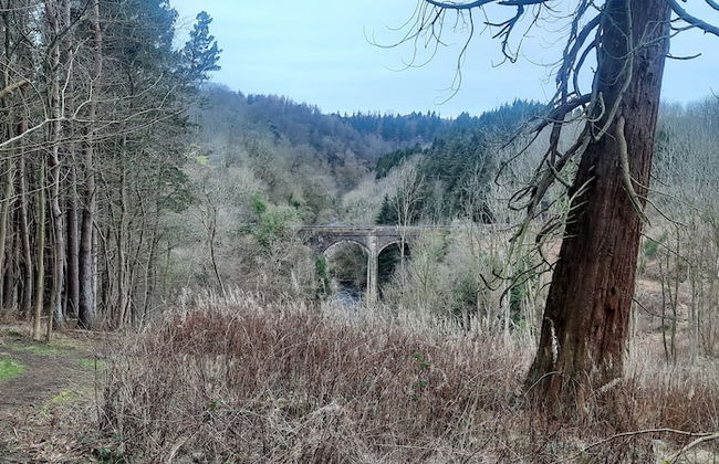 Cozy Lanarkshire Apartment With a View - Foto 31