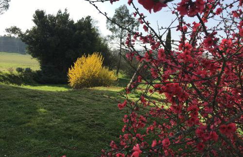 Gîte La Fournière de Costy près Eymet - Foto 17