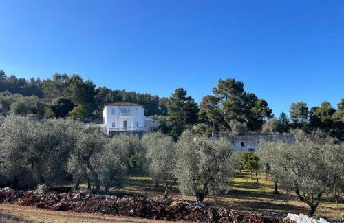 Novecento Country House - Foto 69