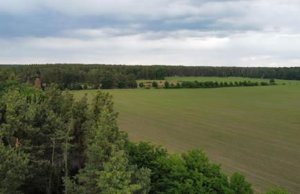 Tiny House am Wald - Foto 20