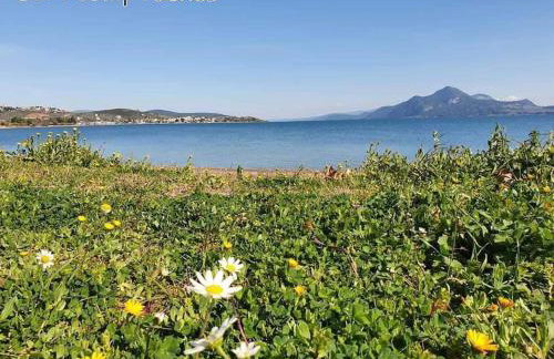 Silver Cape Raches on the sea - Foto 61