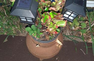 Casa do Sr. Falcão - Foto 50