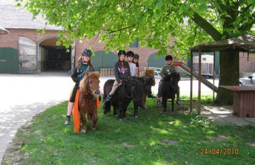 Ferienhof Rustemeier - Foto 2