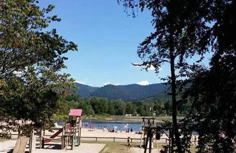 La cabane sur l'étang - Foto 12