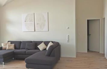 Ferienhaus-Elbdeichblick-Haselau - Foto 4