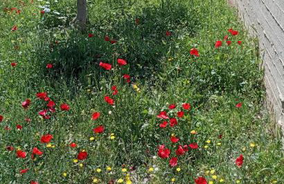 Cosy garden house in a villa - Foto 10