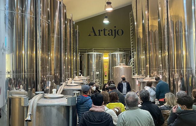 Oleotourism in Navarre. Visit and tasting of organic EVOO Artajo - Photo 5