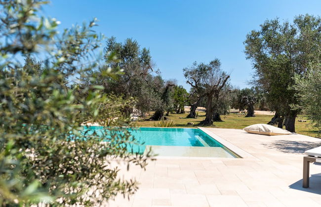 Stunning Villa Surrounded by Olive Trees - Beahost - Foto 1