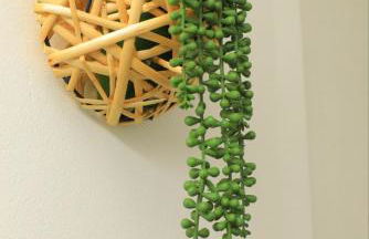 Luxury 4 Bed 3 bath 6 mins from City Renter - Foto 17